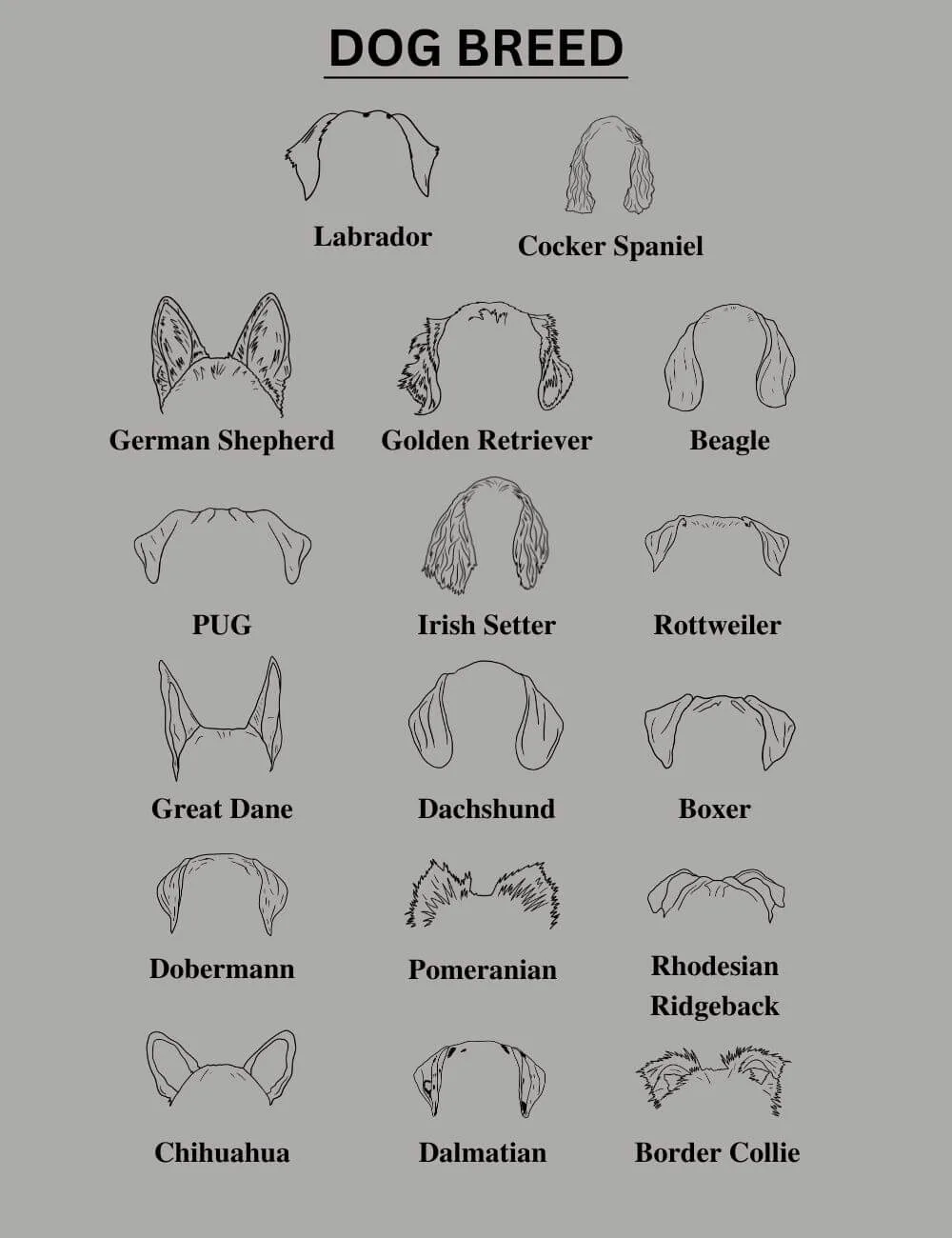 Personalized Dog Ear T-shirt with Your Pet's Name| Gift for Pet Lovers - Image 3