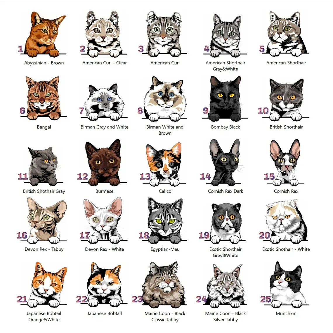 Personalized Pet Unisex T-Shirt With Pet Name | Customized Cat Name T-Shirt - Image 2