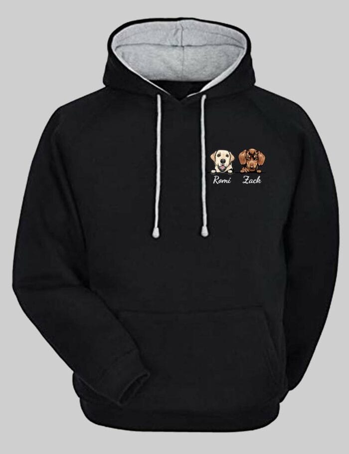 Dog hoodie 2