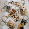 Pet Keychain (2)