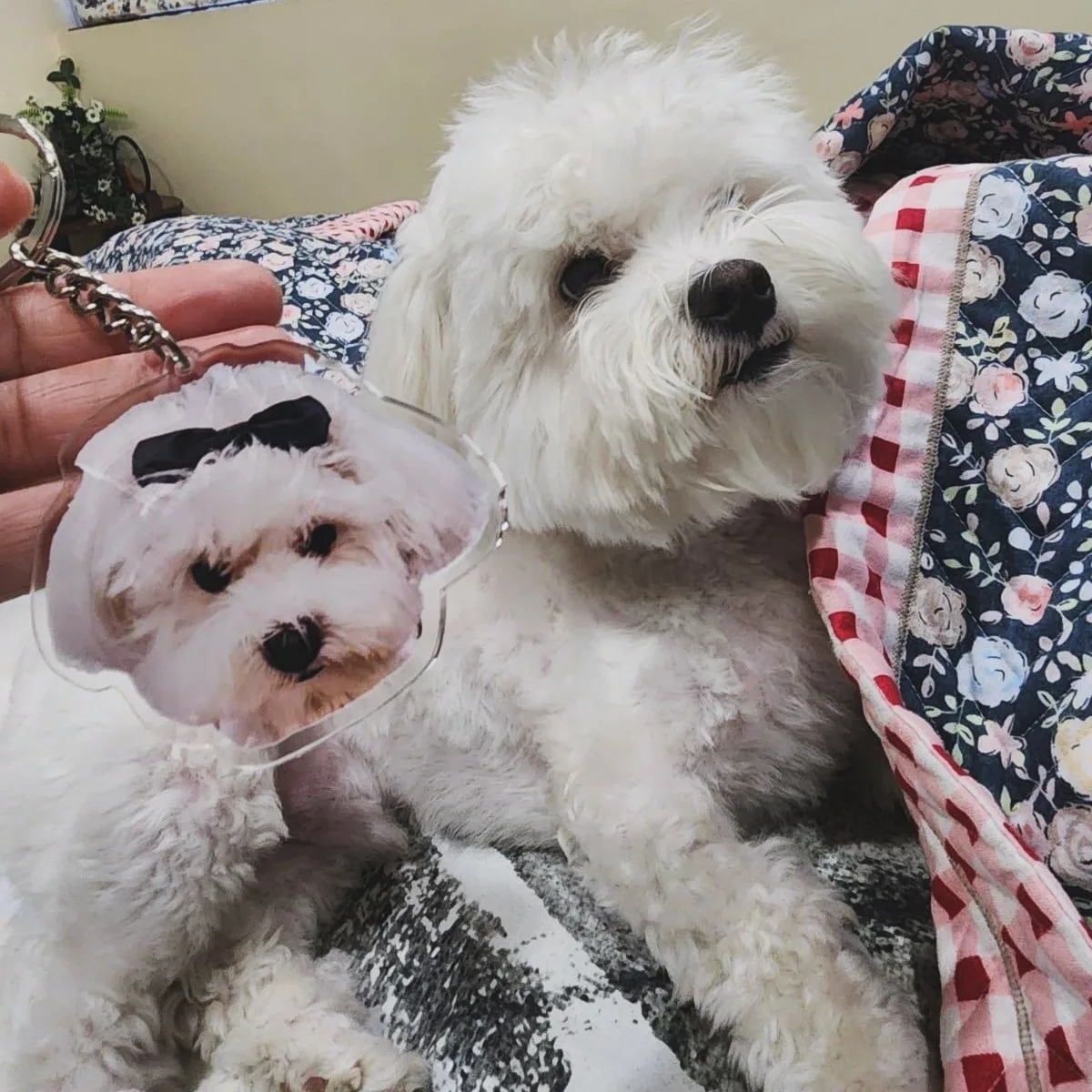 Pet Keychain