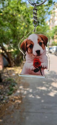 Personalized Pet Photo Acrylic Keychain photo review