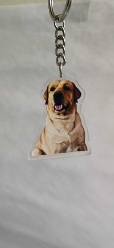 Personalized Pet Photo Acrylic Keychain photo review