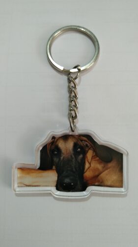 Personalized Pet Photo Acrylic Keychain photo review