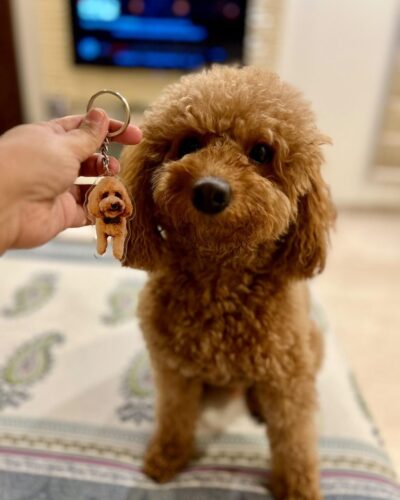 Personalized Pet Photo Acrylic Keychain photo review