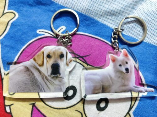 Personalized Pet Photo Acrylic Keychain photo review